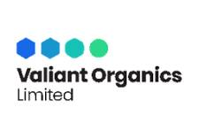 Valiant Client